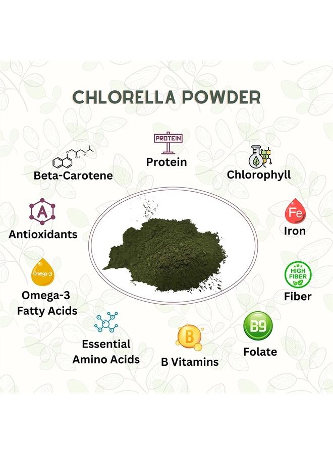 Go Nutra Chlorella Powder Organic Raw Non-GMO 100% Pure Cracked Cell Wall Green Superfood High Protein Chlorophyll for Smoothie Vegan Supplement (1 lb. (16 oz.)) - Image 2