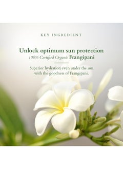 Lotus Organics+ Hydrating Gel Mineral Sunscreen For All Skin Type No White Cast Fast Absorbing Certified Organic Spf 30 Pa+++ 100G  - Image 2