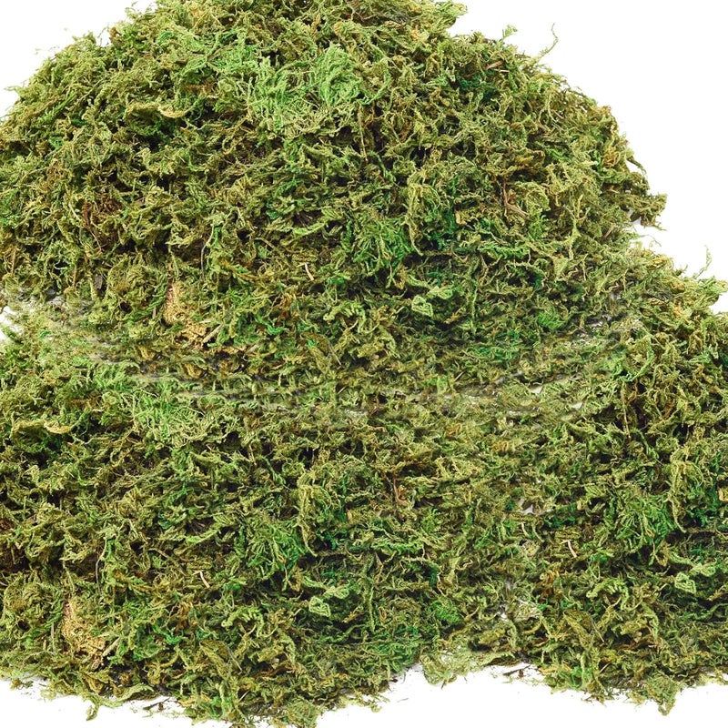 19 أونصة من الطحالب الاصطناعية لنباتات الأصص للنباتات الاصطناعية، طحالب اصطناعية للحرف اليدوية، طحالب مقلدة للنباتات الاصطناعية، طحالب زخرفية خضراء اصطناعية - Image 1