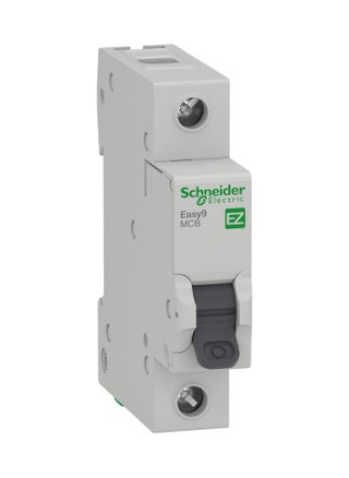 EZ9F56120 Easy9 miniature circuit breaker - pzsku/Z97C29EBDC46D36016C2DZ/45/_/1721378126/b6a1a31a-2dea-4152-8bbe-81326483dd43