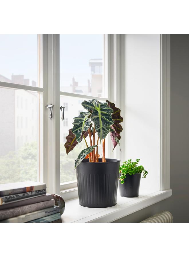 زبون وعاء نباتات، داخلي/خارجي/أنثراسيت، 19 سم - Image 3