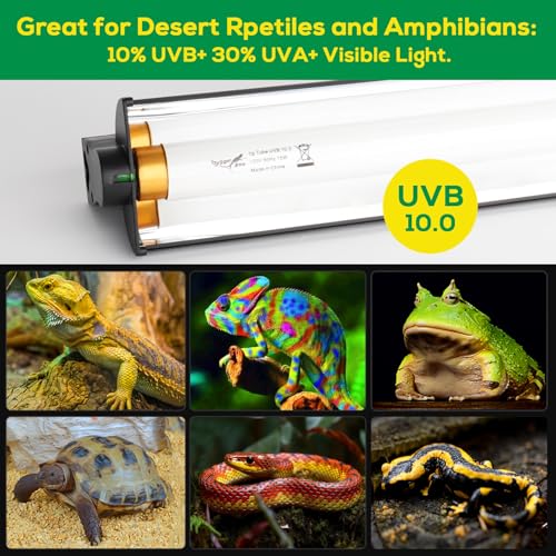 Hygger zoo T5 UVB Reptile Light Fixture HO UVB Bulb Lighting Combo Kit, 10.0 UVB Light for Reptiles Terrarium Hood with 24W Reptile Light Bar UVA UVB Desert Lamp for Bearded Dragon Turtle Tank, 22Inch - Image 3