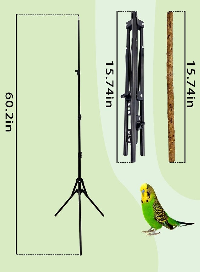 kathson 28-60inches Height Adjustable Bird Perch, Pepperwood Parrot Perch Stand, Multi-Purpose Bird Perches for Indoor and Outdoor Use, Designed for Small Medium Birds - Image 2