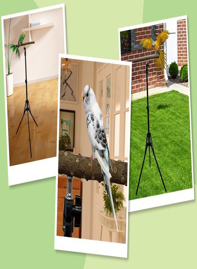 kathson 28-60inches Height Adjustable Bird Perch, Pepperwood Parrot Perch Stand, Multi-Purpose Bird Perches for Indoor and Outdoor Use, Designed for Small Medium Birds - Image 3