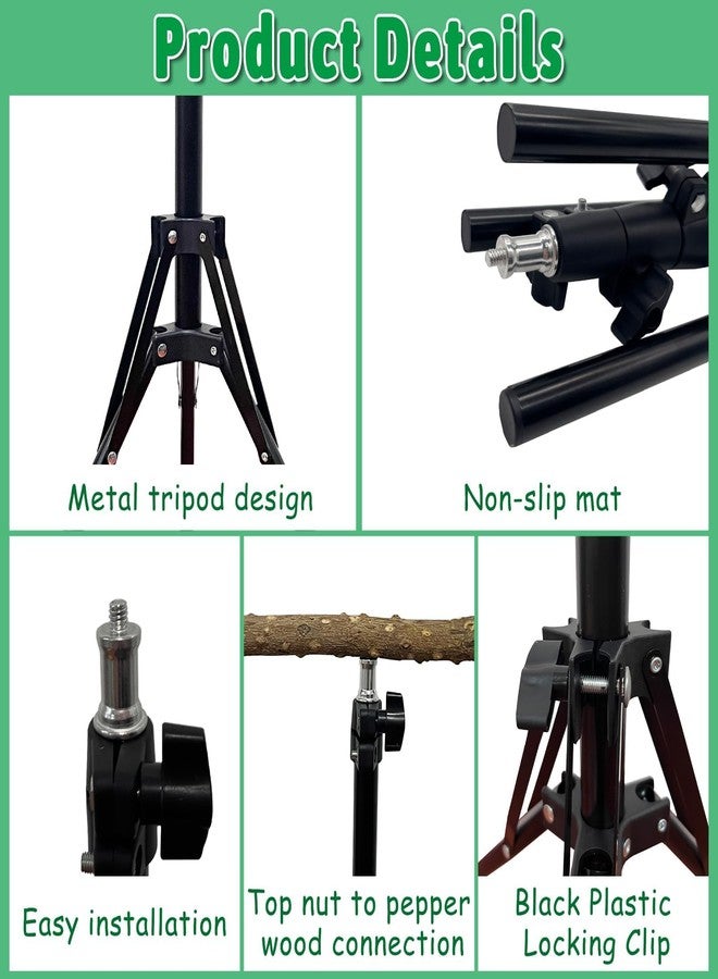 kathson 28-60inches Height Adjustable Bird Perch, Pepperwood Parrot Perch Stand, Multi-Purpose Bird Perches for Indoor and Outdoor Use, Designed for Small Medium Birds - Image 5