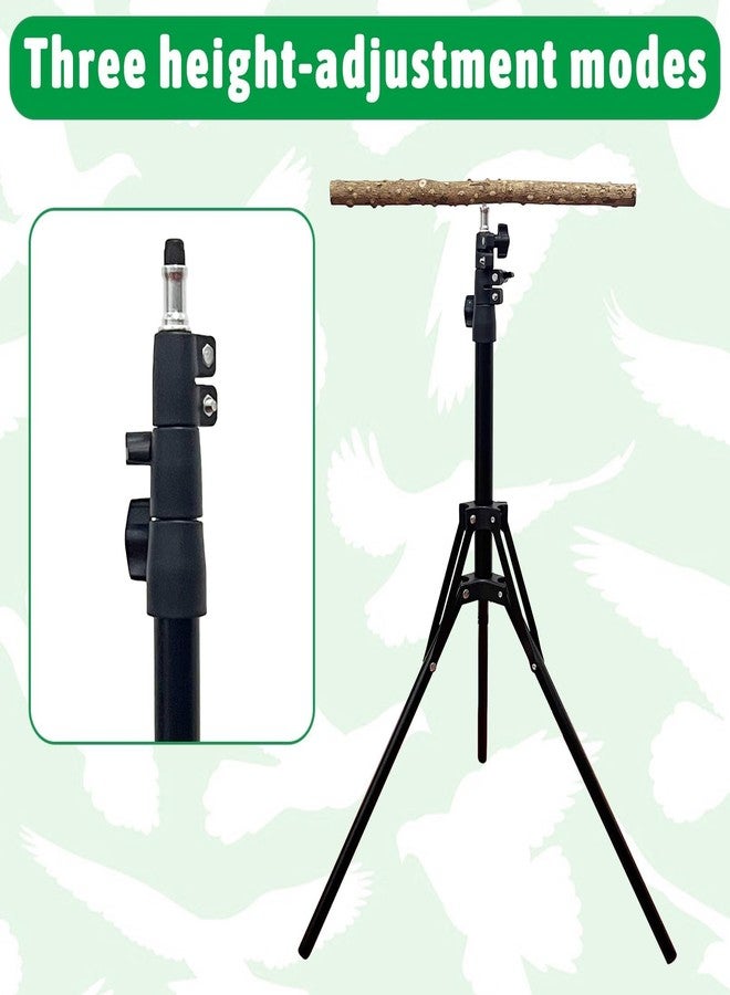 kathson 28-60inches Height Adjustable Bird Perch, Pepperwood Parrot Perch Stand, Multi-Purpose Bird Perches for Indoor and Outdoor Use, Designed for Small Medium Birds - Image 4