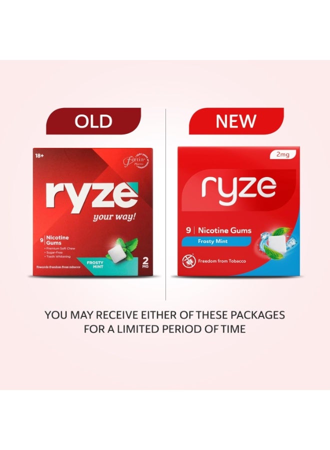 رايز علكة رايز نيكوتين ٢ ملغ | عبوة من ١٠ قطع (٩٠ علكة) | بنكهة النعناع المنعش | التخلص من التدخين والتبغ | لطيفة على الحلق | خالية من السكر | تبييض الأسنان - Image 4