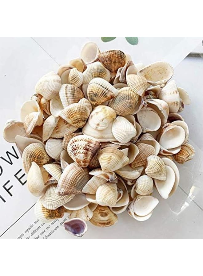Tiny Sea Beads Ocean Beach Spiral Seashells for DIY Craft Charms  - Image 5
