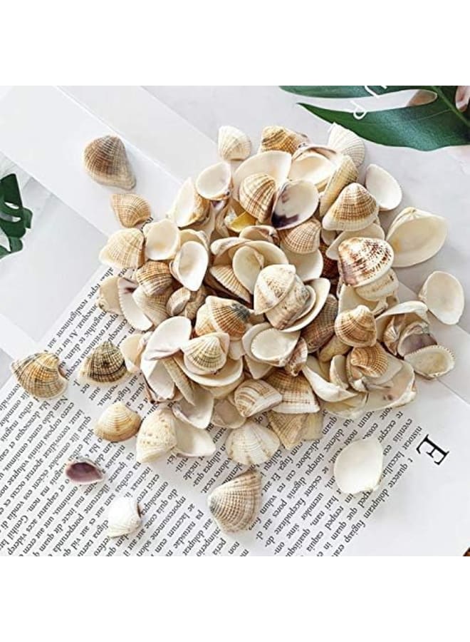 Tiny Sea Beads Ocean Beach Spiral Seashells for DIY Craft Charms  - Image 4