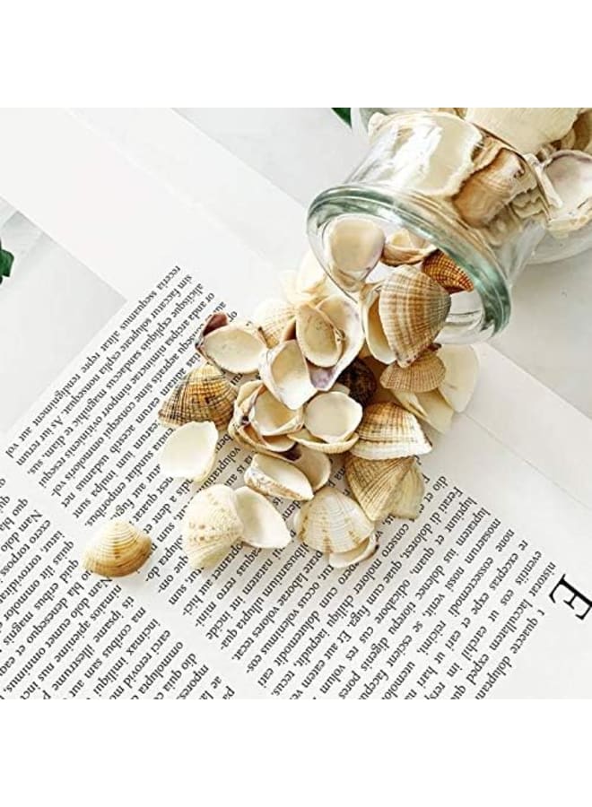 Tiny Sea Beads Ocean Beach Spiral Seashells for DIY Craft Charms  - Image 3