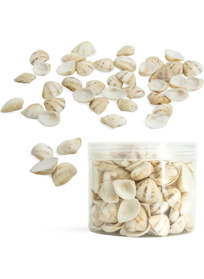 Tiny Sea Beads Ocean Beach Spiral Seashells for DIY Craft Charms  - Image 1
