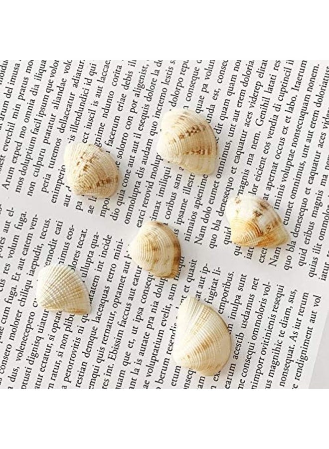 Tiny Sea Beads Ocean Beach Spiral Seashells for DIY Craft Charms  - Image 2