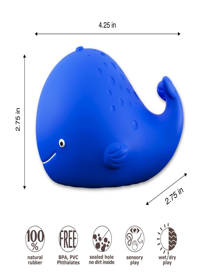 caaocho Pure Natural Rubber Bath Toy - Kala The Whale Baby Toy - Hole Free, BPA Free Bath Toys for Infants, Without Holes Sealed Natural Rubber - Image 3