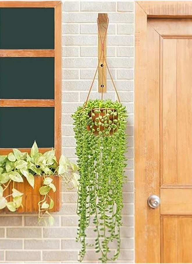 Generic - Plant Hanger, Wall Planters for Indoor Plants, Wooden Wall Mounted Hanging Plant Hooks, Basket Hooks for Lanterns, Flower Bracket, Wind Chimes, Decoration (2-Pack,8-Inch) - Image 1