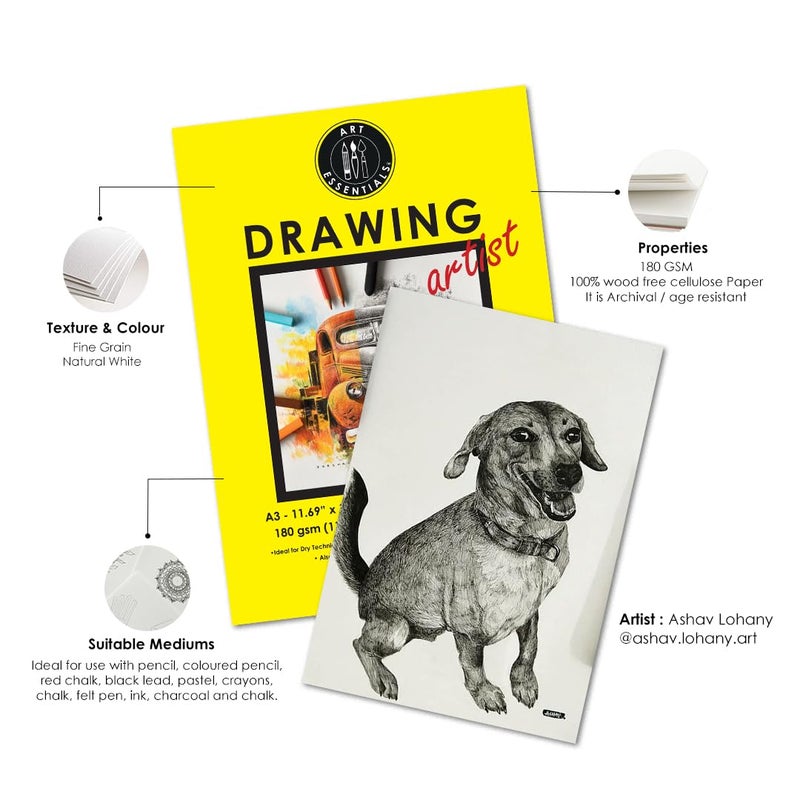 Art Essentials ورق فني أساسي للرسم 50x65 سم أبيض طبيعي حبيبات ناعمة 180 جرام 25 ورقة حزمة ورق خالي من الحمض للرسم والتلوين باستخدام قلم الرصاص والفحم والجرافيت والطباشير وزيت الباستيل والشمع - Image 4