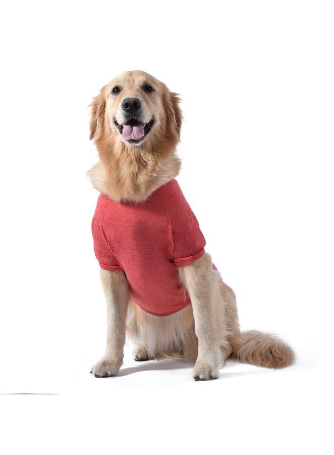 Star Wars for Pets "That's No Moon" Dog Tee | Star Wars Dog Shirt for Large Dogs | Size Large | Soft, Cute, and Comfortable Dog Clothing and Apparel, Cute Dog Clothes - Image 3