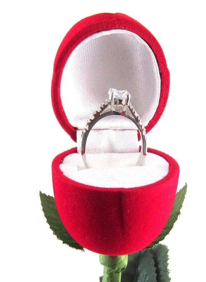 AASA Special Engagement Gift Red Rose Gift Box Without Ring for Wife and Husband, Red, 15Grams, Pack of 1 - Image 4
