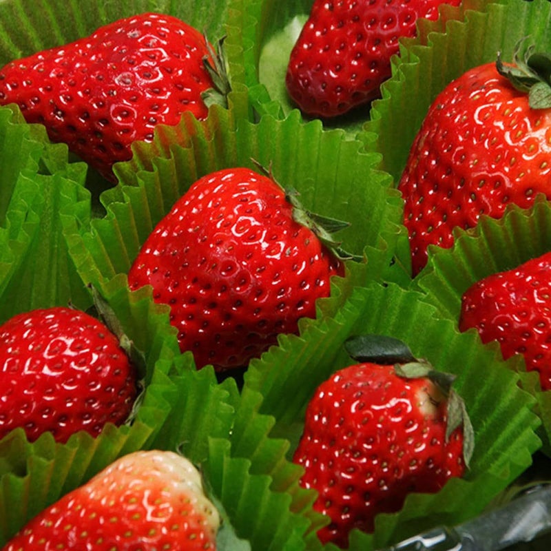 Strawberry Green Baking Cups 2000pcs Oil Proof Greaseproof 2.5cm Paper Muffin Liners - Image 4