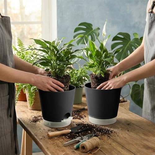 GARDIFE 2026 Upgraded Self Watering Plant Pots with Drainage Hole, 8/7/6.5/6/5.5/5/4 Inch Flower Planting Containers for House Plants, African Violet, Flowers, Cactus (Black, 8+7+6.5+6+5.5+5+4 inch) - Image 5