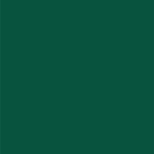 Dupli-Color EBCC04217 Perfect Match Automotive Spray Paint – Chrysler Emerald Green Pearl, PGF/QGF – 8 oz. Aerosol Can - Image 2