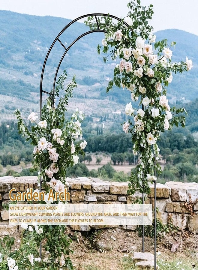 ZANGEROI Garden Arch Trellis for Climbing Plants Outdoor Wedding Arches for Ceremony Black Metal Garden Arbor Indoor Garden Arches for Party Decoration 7.9ft Wide X 6.4ft High (Black Garden Arch) - Image 3