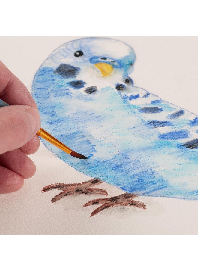 Creative Mark Cezanne Watercolor Pencils Professional Artist Quality Soft Core Leads For Watercolour Painting Coloring Drawing Layering Blending Shading Use Wet Or Dry Set Of 24 - Image 3