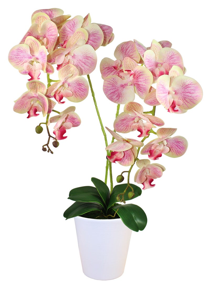 Generic Magic Style Artificial Beige-lilac orchids 2 stems in white ceramic pot  - Image 1