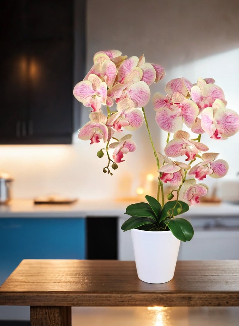 Generic Magic Style Artificial Beige-lilac orchids 2 stems in white ceramic pot  - Image 4