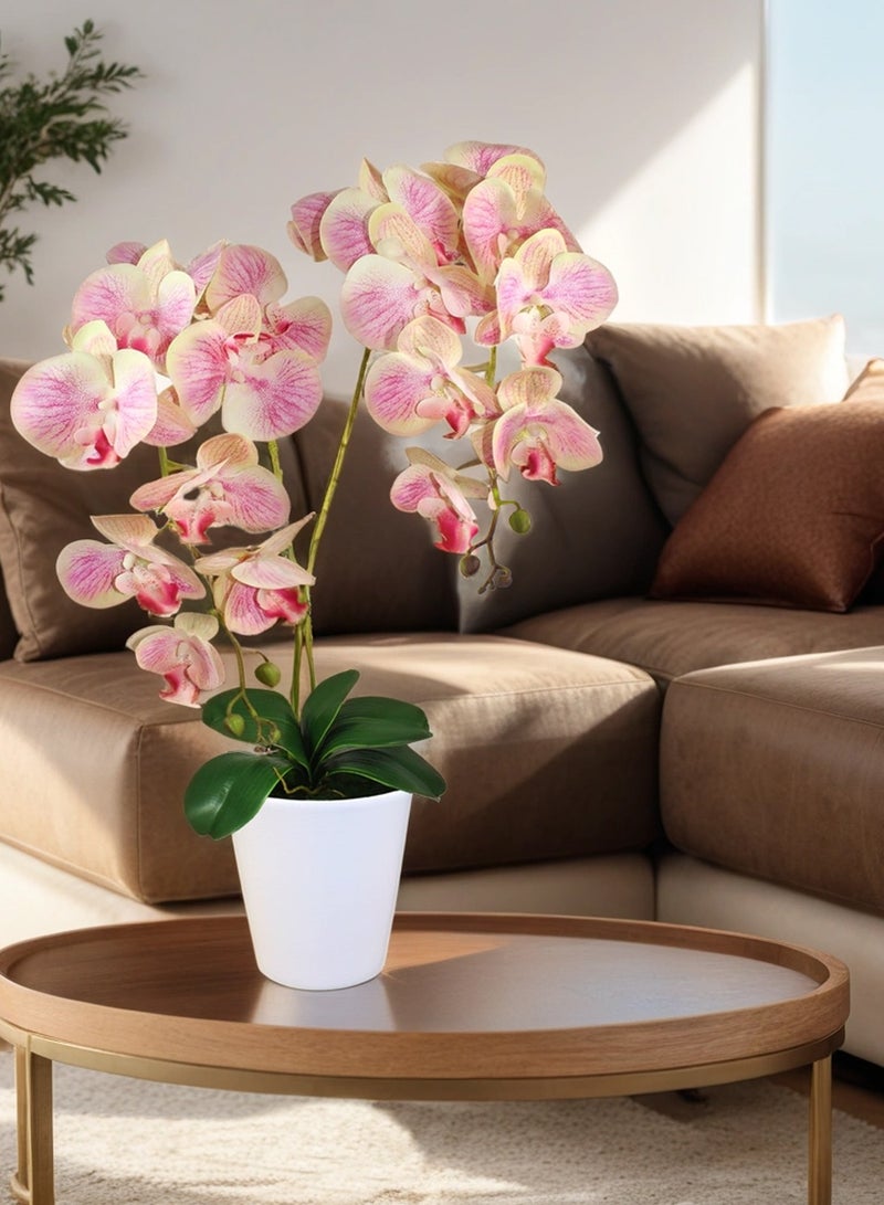 Generic Magic Style Artificial Beige-lilac orchids 2 stems in white ceramic pot  - Image 5