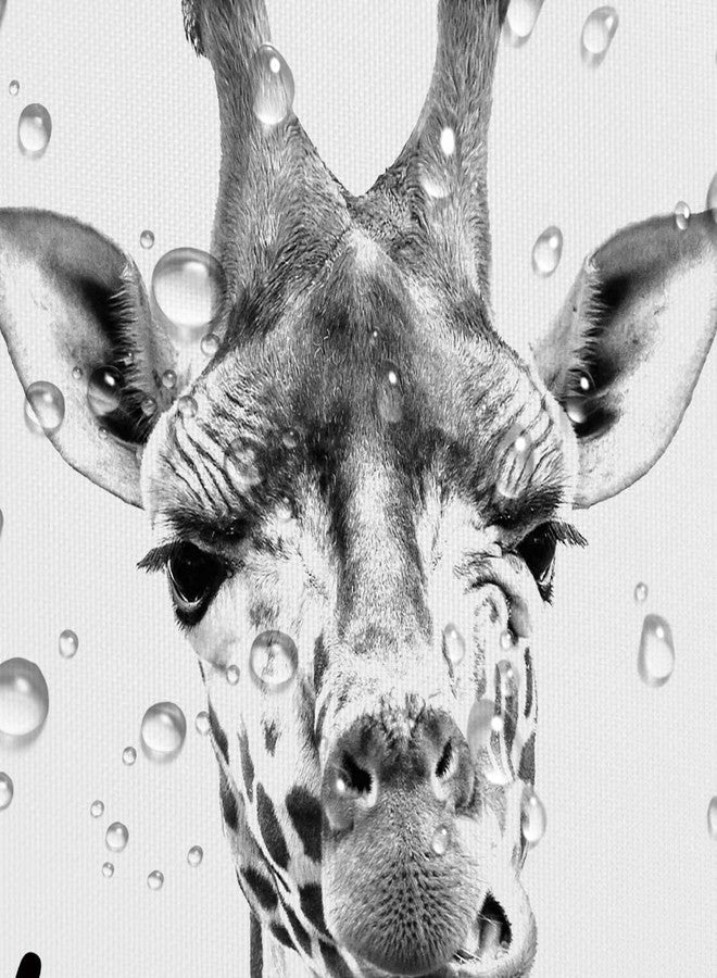 Hajmsug Funny Giraffe Get Naked Shower Curtain for Bathroom, Cute Animal Wildlife Safari Decor Bathtub Fabric Curtain, Waterproof Polyester Shower Curtain Sets with Hooks, 69 x 70 - Image 4