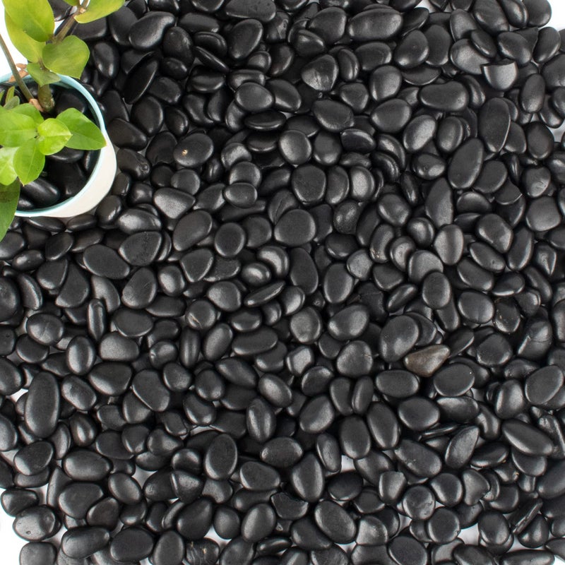 18 lb 1 Natural Polished Black River Rock for PlantsAquariumVaseGarden Landscape Rocks and Outdoor Decorative Stones