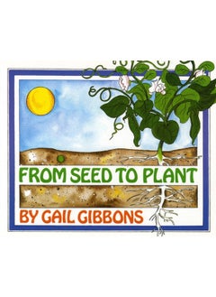 From Seed to Plant 