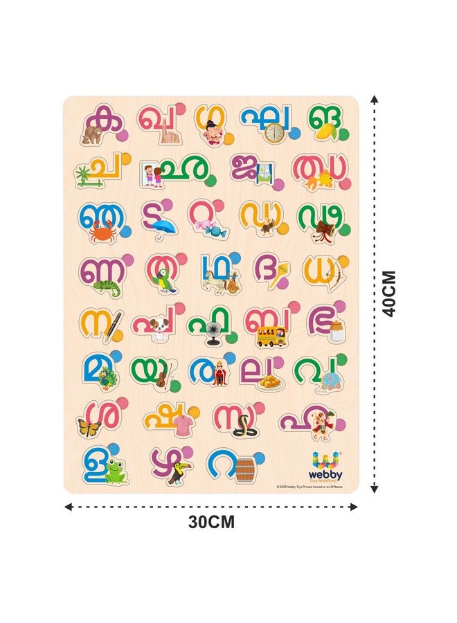 Webby Wooden Malayalam Alphabets Montessori Educational Pre-School Puzzle Toy for Kids - Image 5