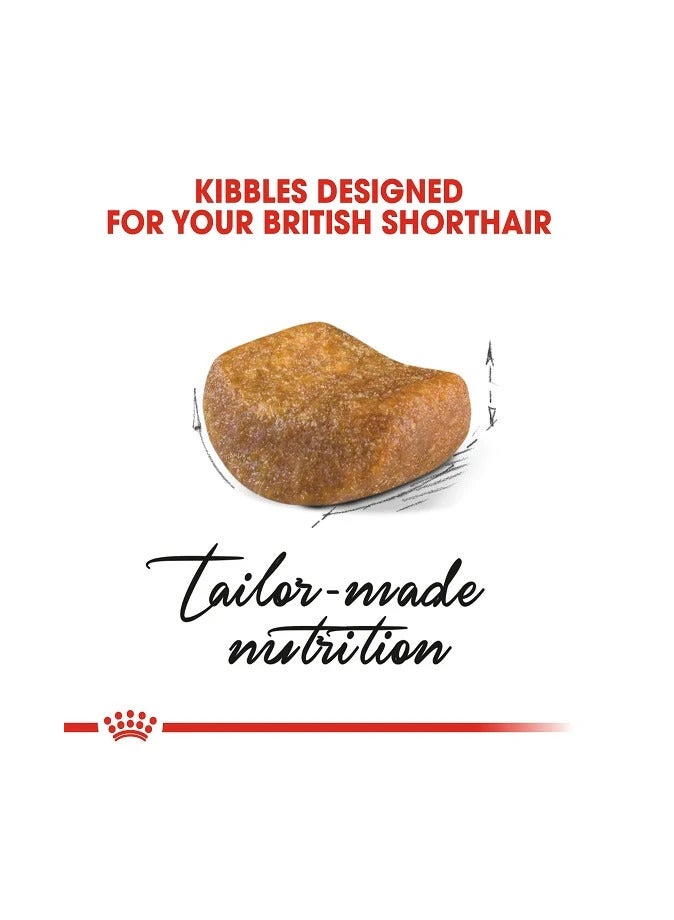 رويال كانين طعام رويال كانين الجاف للقطط البريطانية قصيرة الشعر البالغة (1-10 سنوات)، 4 كجم - Image 3