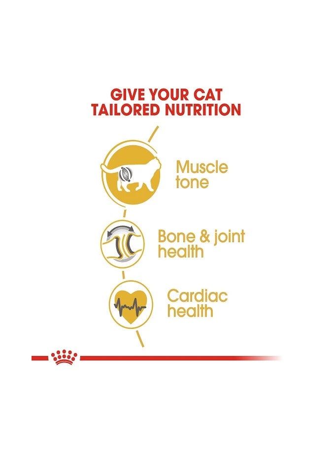 رويال كانين طعام رويال كانين الجاف للقطط البريطانية قصيرة الشعر البالغة (1-10 سنوات)، 4 كجم - Image 4