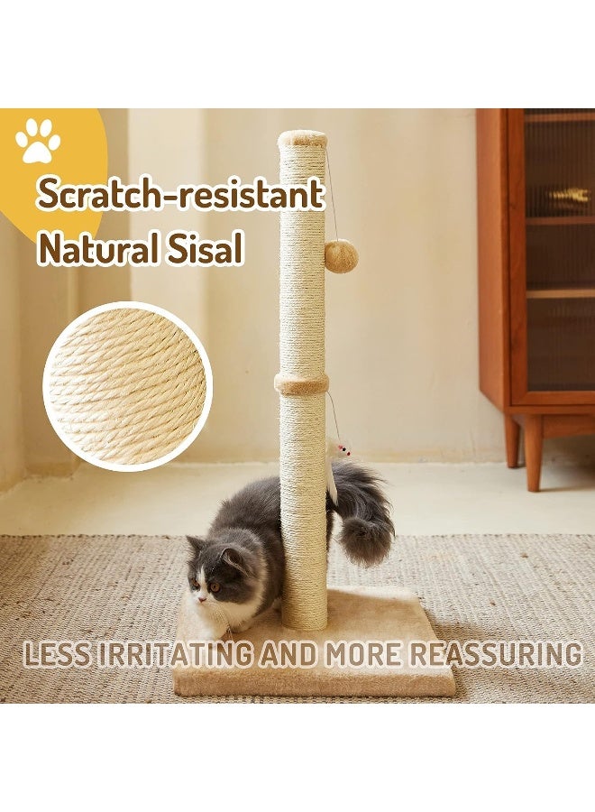 NeoStyle Cat Scratching Post for Indoor Cats, Cat tree with Sisal Rope Durable, Cat Scratcher with Hanging Ball and Mouse Toy - Image 4
