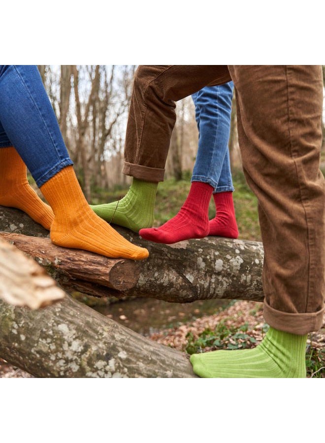 Gowith 4 Pairs Unisex Natural 97% Cotton Crew Socks, Comfy Cozy Breathable Seamless Casual Socks for Men & Women, Multicolor-2, X-Small, Model 3014 - Image 3