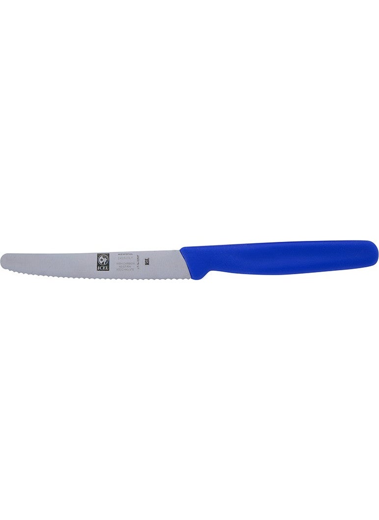 Steak Knife 12 cm. Gear Blue - pzsku/Z97DD88265D1EEB434BACZ/45/_/1740651870/49f49496-3ec4-4311-b150-cca57a82da63