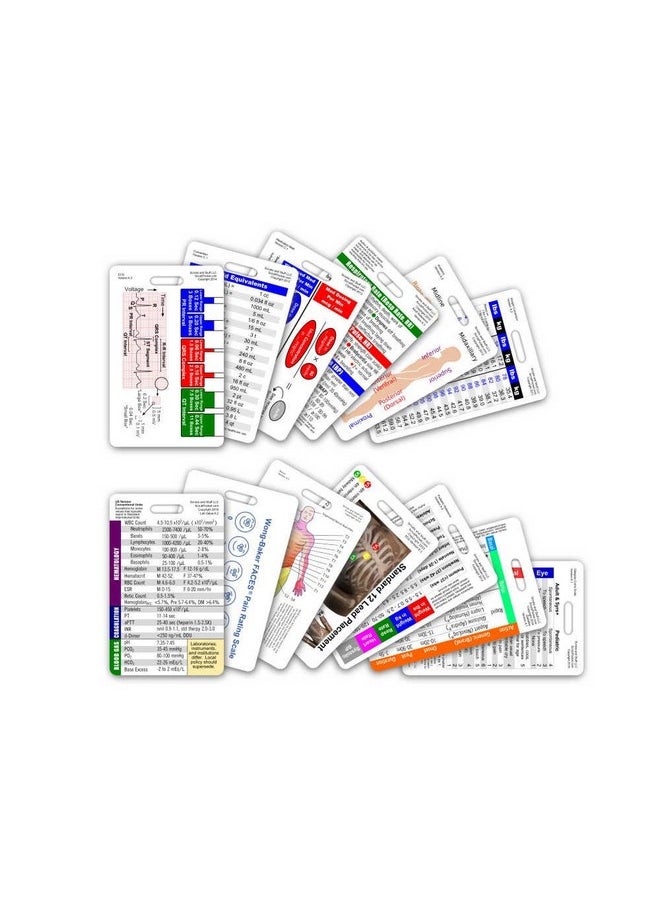 Scrubs and Stuff LLC Complete Nurse Rn Cna Na Vertical Badge Card Set 13 Cards  - Image 1