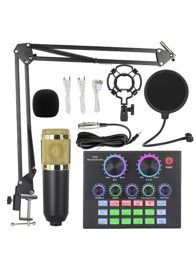 البث المباشر متعدد الوظائف BM800 الميكروفون V8 بطاقة الصوت معلقة الميكروفون مجموعة كاملة من RGB البث المكثف مجموعة من الميكروفونات الشبكة الذكية البث المباشر بطاقة الصوت للكمبيوتر والهواتف المحمولة - Image 1