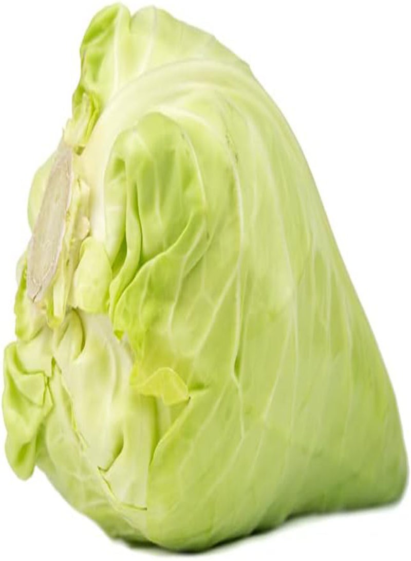 GGOOT Cabbage-Early Jersey Wakefield (200 Seeds) - Image 5