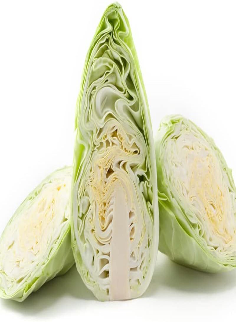 GGOOT Cabbage-Early Jersey Wakefield (200 Seeds) - Image 1
