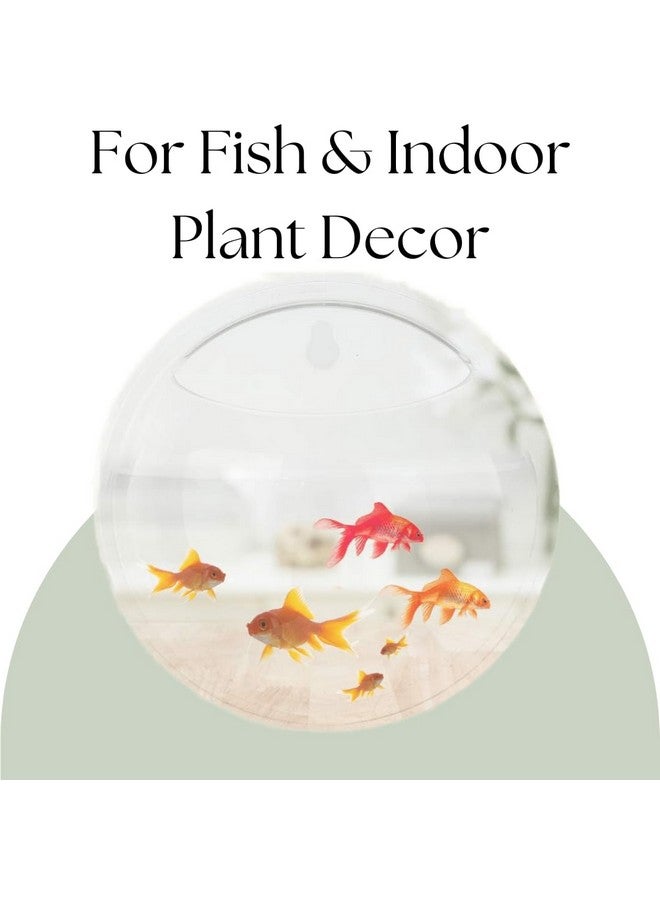 VAYINATO PetzLifeworld WallHanging Acrylic White Flower Vase Bowl for Indoor Plant and Flower Vase and Stone | Non Breakage with a Wall Nail (12 Inch (Medium)) - Image 3