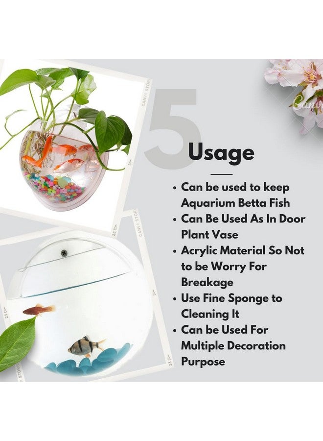 VAYINATO PetzLifeworld WallHanging Acrylic White Flower Vase Bowl for Indoor Plant and Flower Vase and Stone | Non Breakage with a Wall Nail (12 Inch (Medium)) - Image 5