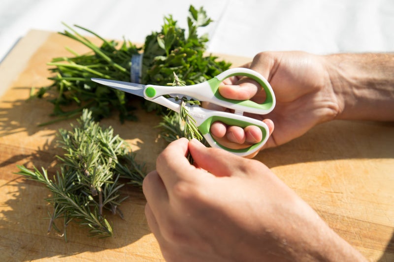Zyliss Heavy Duty Home & Kitchen Herb Shears Scissors with Innovative Stem Stripper, Versatile Kitchen Shears for Trimming Weeds, Flower Buds & More - White/Green - 8.5 x 4.2 x 0.4 inches - Image 2