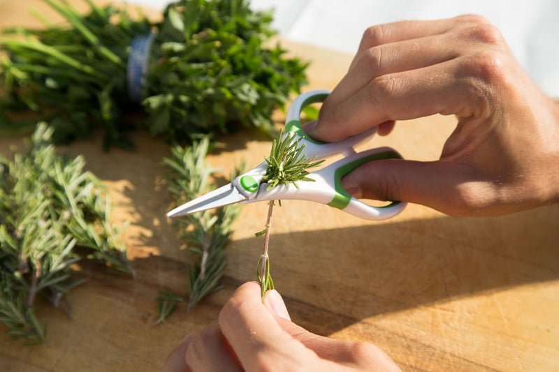 Zyliss Heavy Duty Home & Kitchen Herb Shears Scissors with Innovative Stem Stripper, Versatile Kitchen Shears for Trimming Weeds, Flower Buds & More - White/Green - 8.5 x 4.2 x 0.4 inches - Image 3