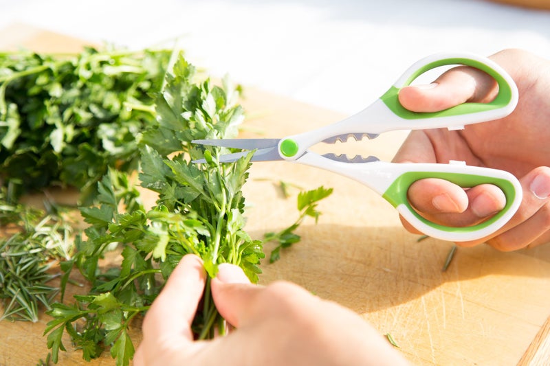 Zyliss Heavy Duty Home & Kitchen Herb Shears Scissors with Innovative Stem Stripper, Versatile Kitchen Shears for Trimming Weeds, Flower Buds & More - White/Green - 8.5 x 4.2 x 0.4 inches - Image 5