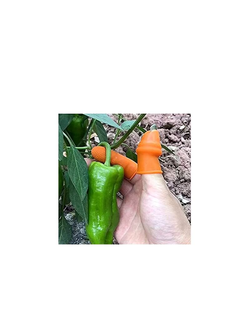Thumb Knife for Harvesting Fruits and Vegetables Gardening Knife, Kitchen Tools Finger Pickers 3pc - Image 4
