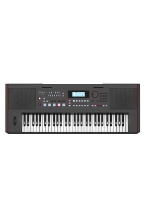 Roland E-X50  Arranger Oriental Keyboard  Black - pzsku/Z97E24CD23BDA40B44C32Z/45/_/1697235842/0d632392-48ef-4175-b687-c037dcdffee5