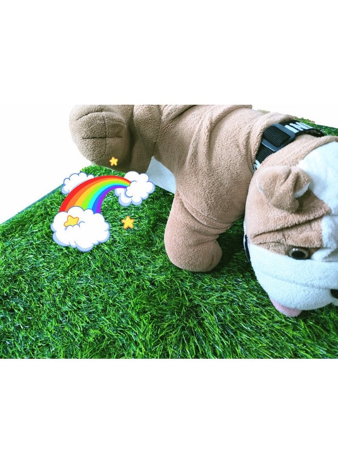 Generic Reusable Dog Grass Pad - Artificial Turf for Pet Training, Dog Urine Mat  - Image 3